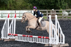 Class 1 - Fences 1'6 to 1'9